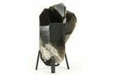 Dark Smoky Quartz Crystal Cluster on Metal Stand - Brazil #274483-1